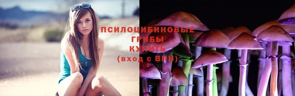 винт Абинск