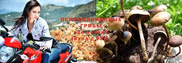 мяу мяу кристалл Алексин