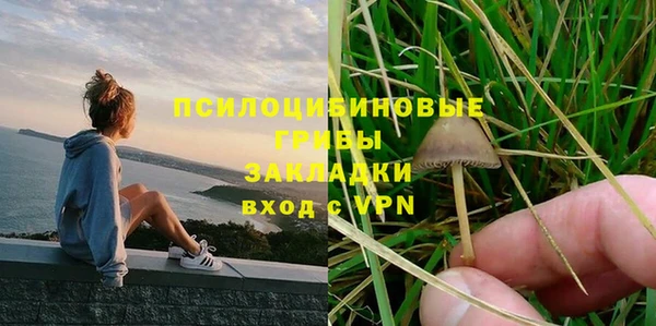 кокс Алексеевка