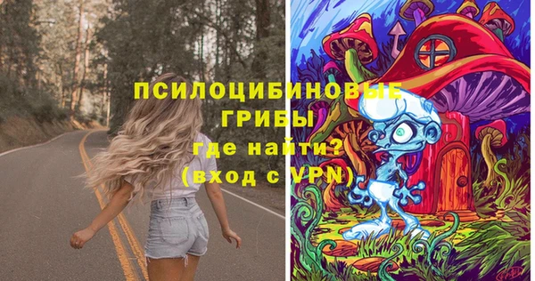 спайс Абаза
