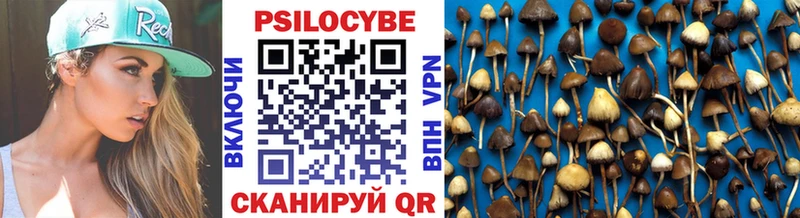 Галлюциногенные грибы Psilocybine cubensis  купить наркотик  Заводоуковск 